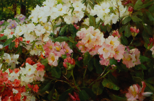 Rhododendron and Azalea by Kathy Anderson